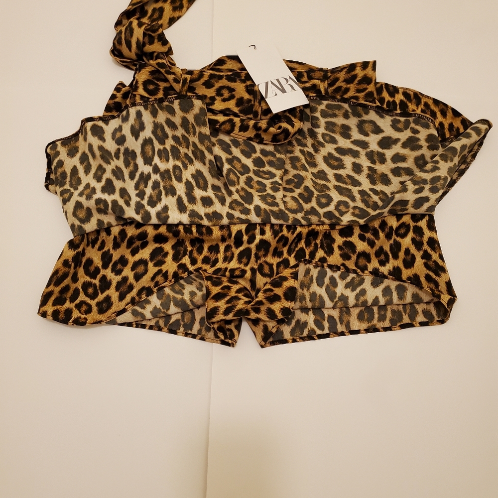 Skirt/shorts- Zara - Picture 8 of 8